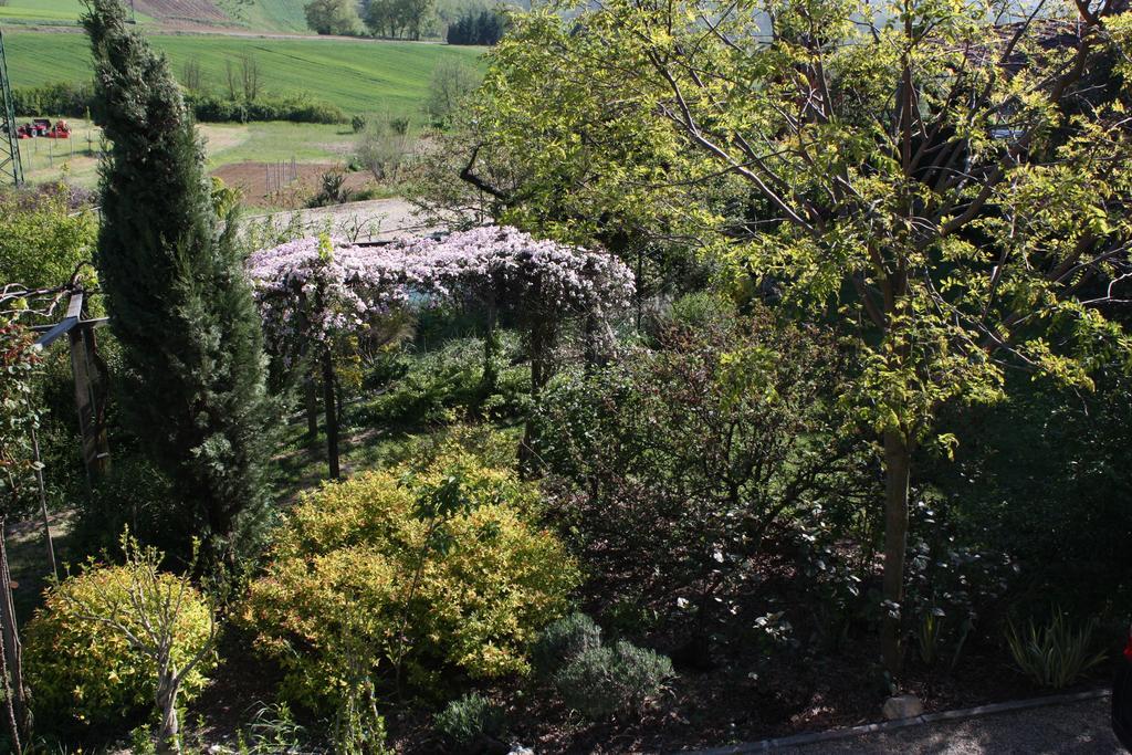 B&B La Casetta Villaromagnano Bagian luar foto